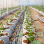 Soluções para Agricultura de Precisão: Controle e monitoramento eletrônico de lavouras e plantios.