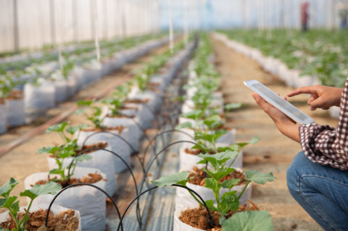 You are currently viewing Soluções para Agricultura de Precisão: Controle e monitoramento eletrônico de lavouras e plantios.