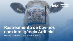 Leia mais sobre o artigo Rastreamento de bovinos com Inteligência Artificial: Melhor controle e monitoramento