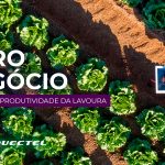 Agronegócio: Aumente a produtividade da lavoura