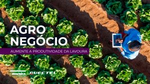 Read more about the article Agronegócio: Aumente a produtividade da lavoura