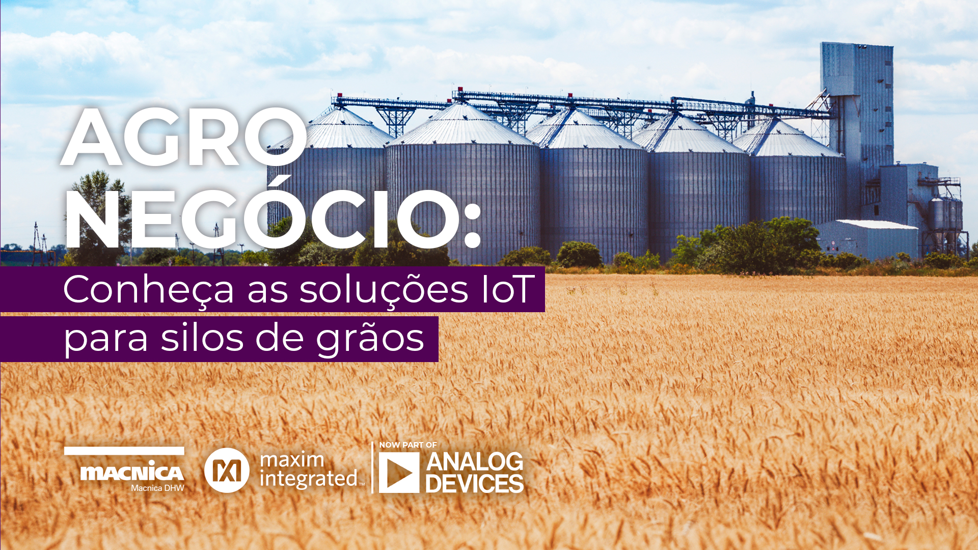 Você está visualizando atualmente Agronegócio conta com soluções IoT para silos de grãos