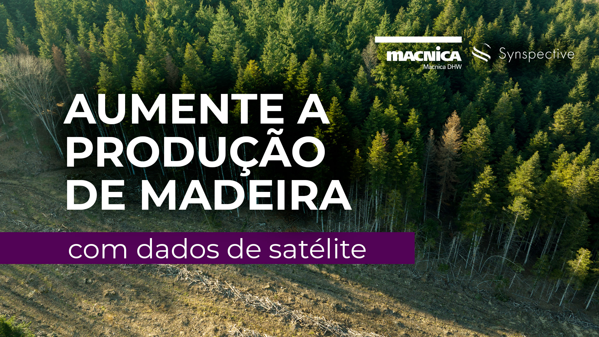 Read more about the article Aumente a produção de madeira com dados de satélite