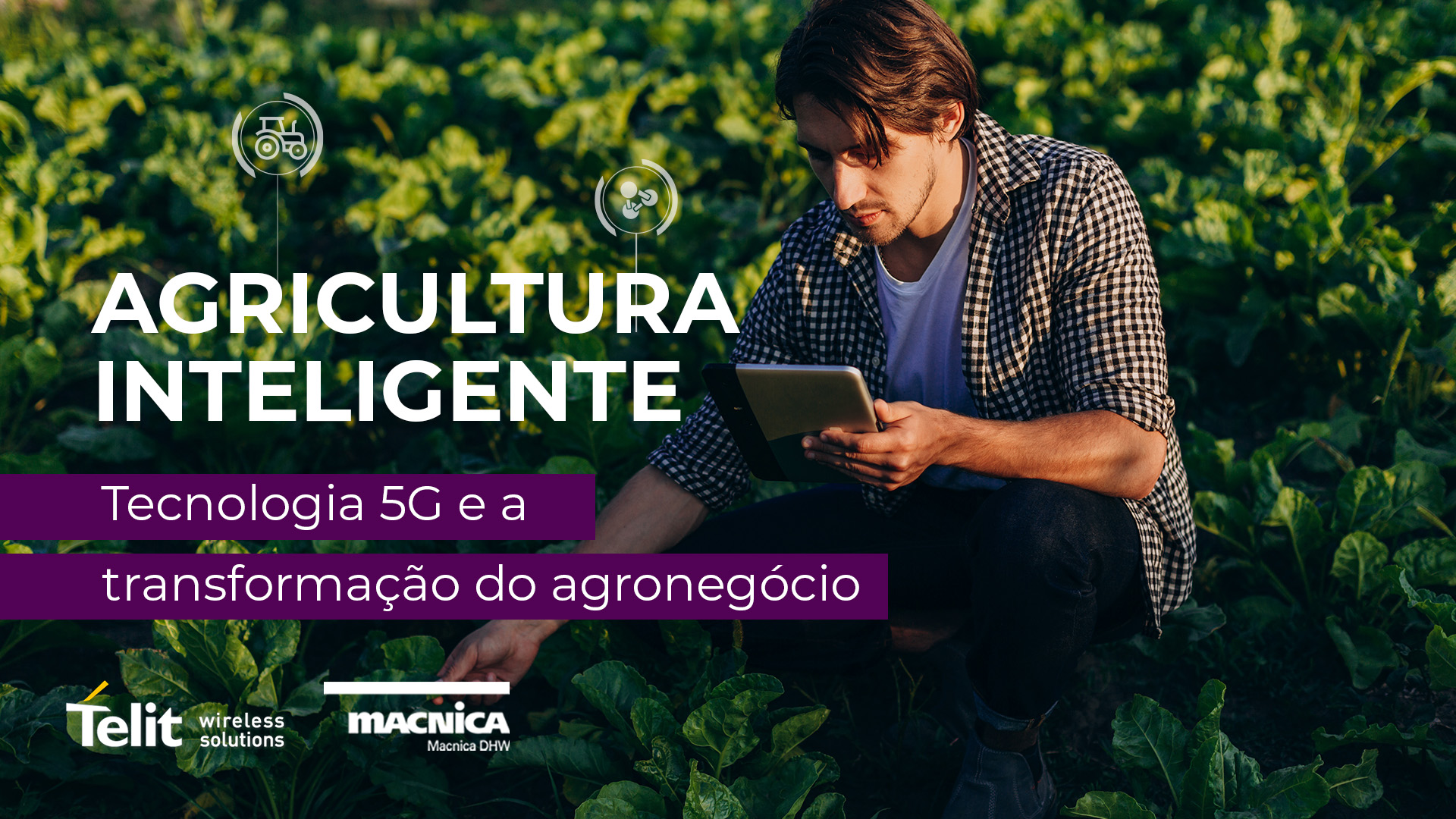 Leia mais sobre o artigo 5G: Tecnologia para agricultura inteligente
