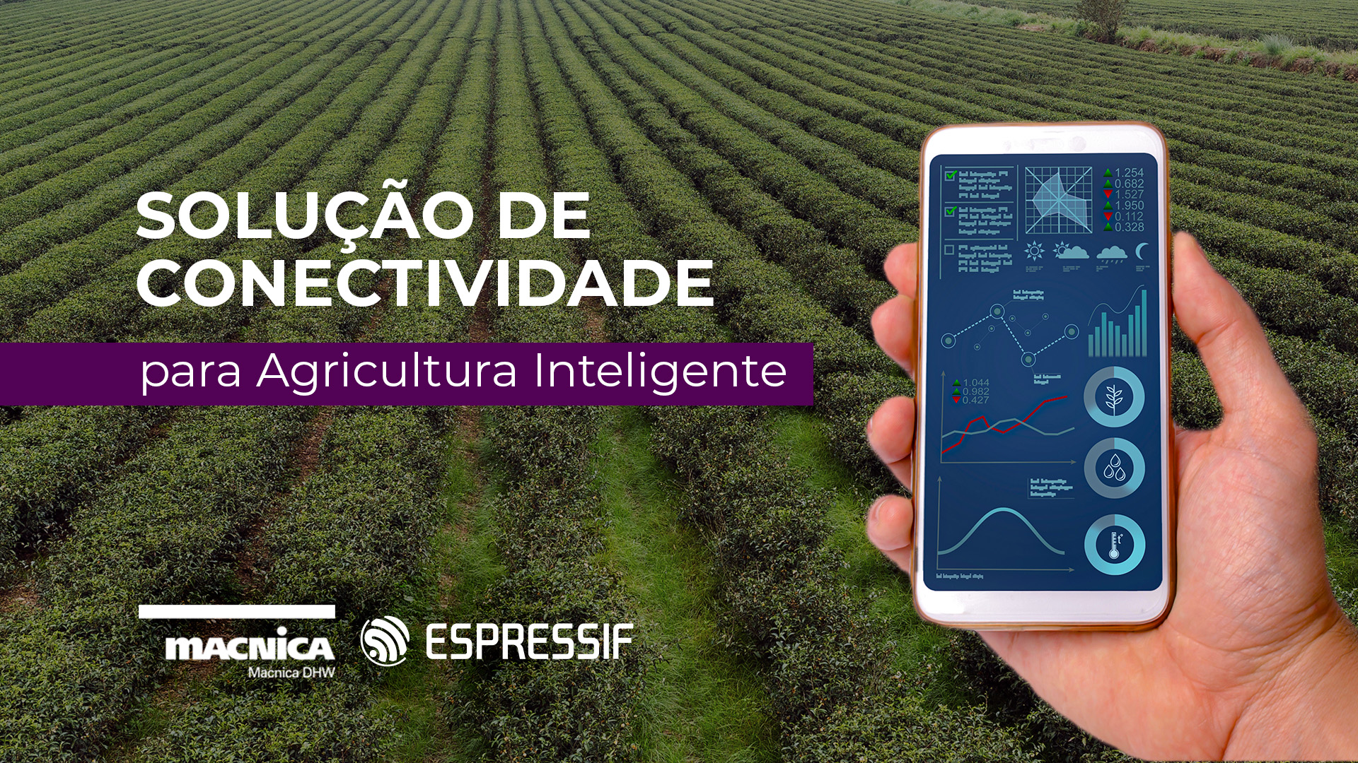 Read more about the article Dica MDHW: Solução de conectividade para Agricultura Inteligente