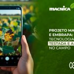 InnerEye na detecção de doenças em folhas: uso da IA na agricultura