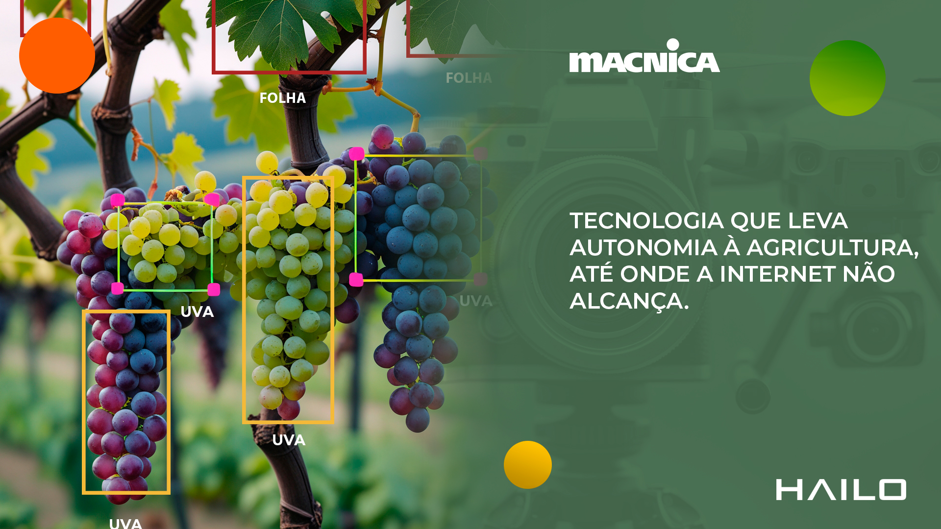Leia mais sobre o artigo Visão computacional no campo com a Hailo: evolução no agronegócio