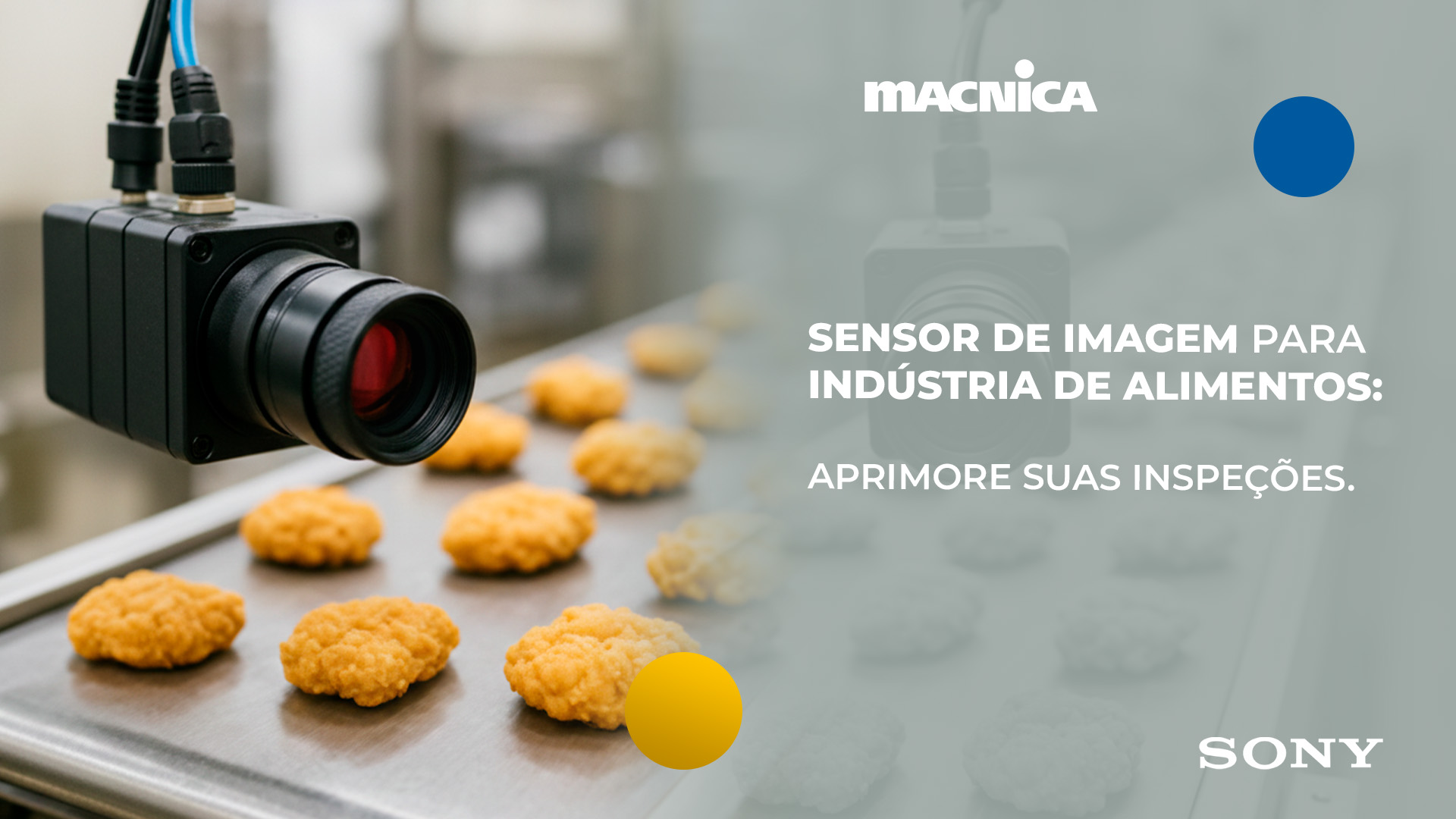 Leia mais sobre o artigo Sensor de imagem para uso industrial na automação de inspeções de alimentos