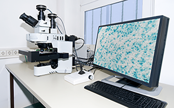Sensor de imagem Sony: precisão e qualidade em inspeção, robótica e logística industrial.