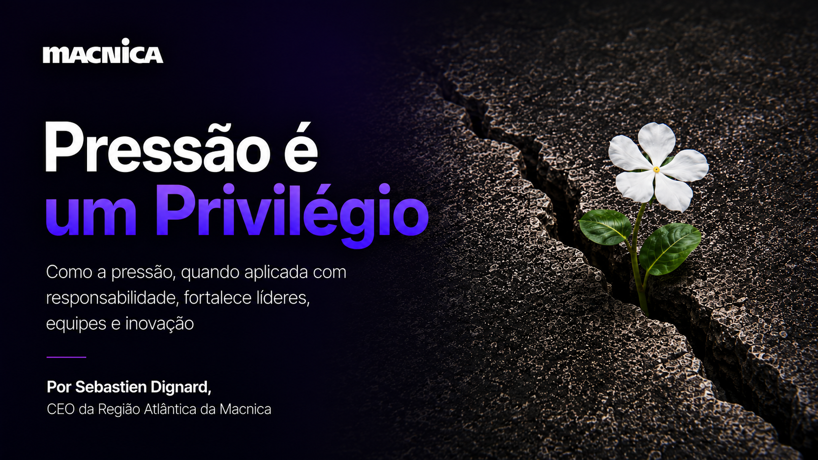 Leia mais sobre o artigo Pressão é um privilégio